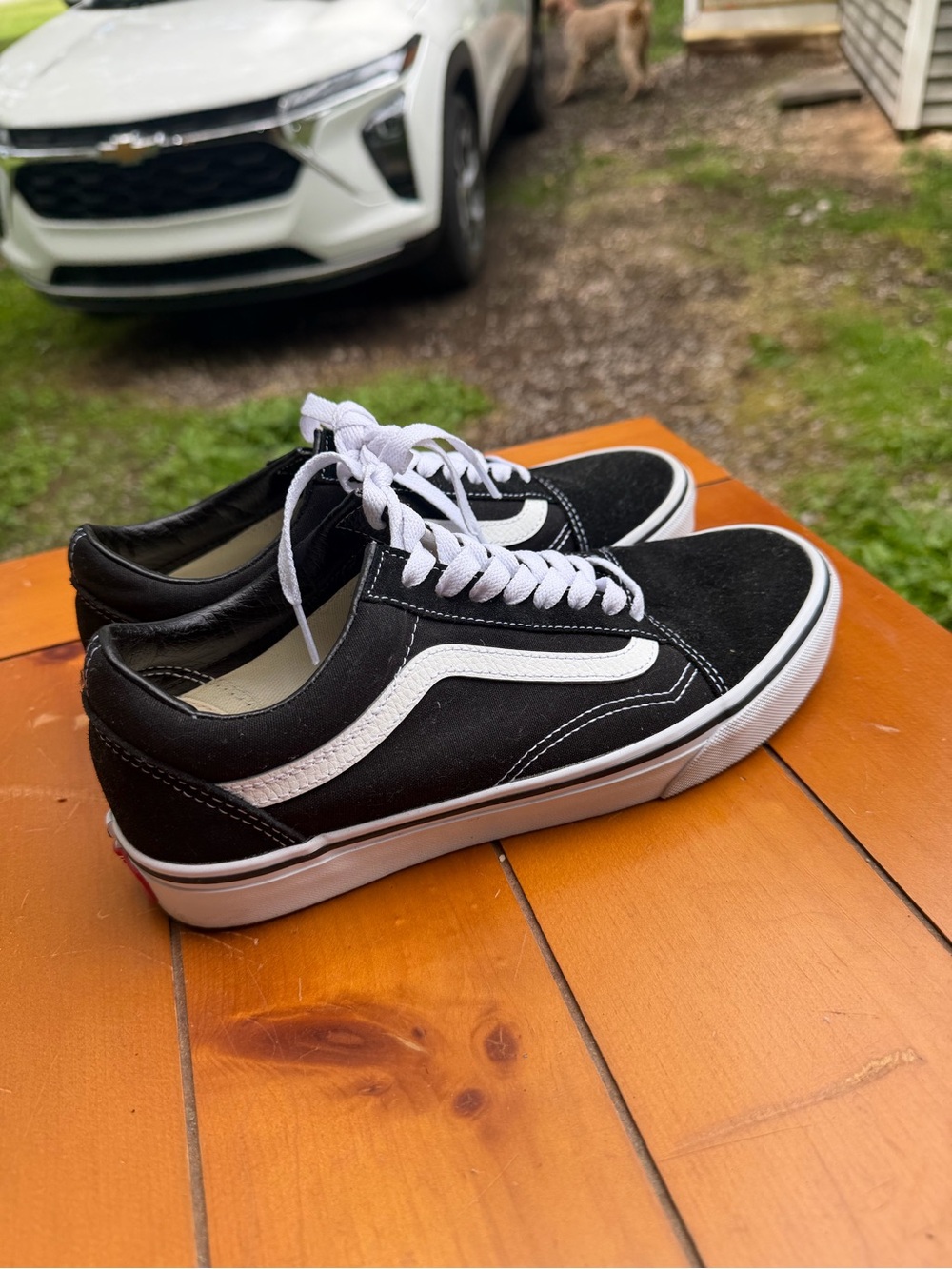 Vans Black & White Low-Top Skate Shoes